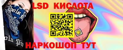 гидра Краснодар