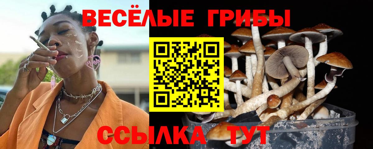 Галлюциногенные грибы мухоморы Калининград