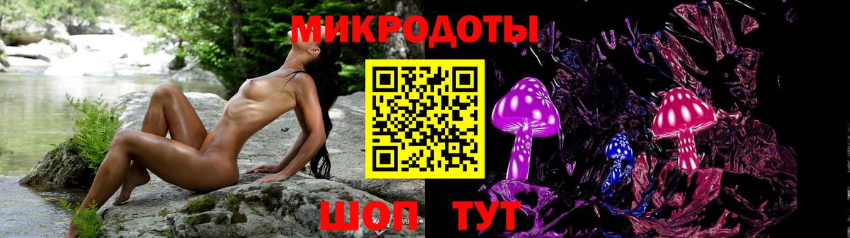 Галлюциногенные грибы GOLDEN TEACHER  Вход с VPN  цена   Калининград  Псилоцибиновые грибы прущие грибы 
